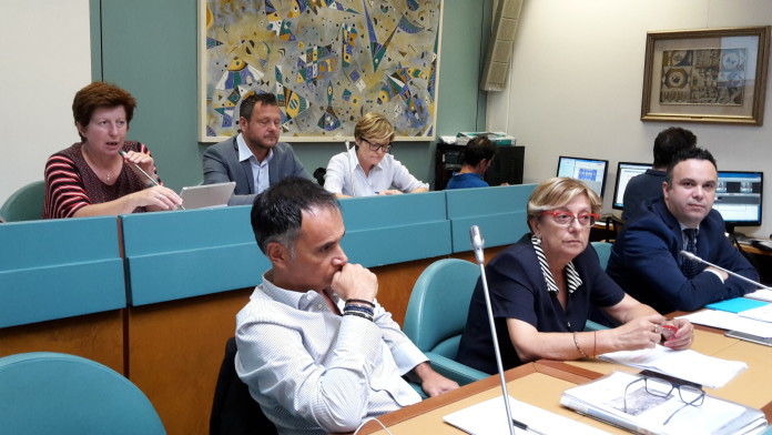 Zanetti in Commissione Zanetti in Commissione