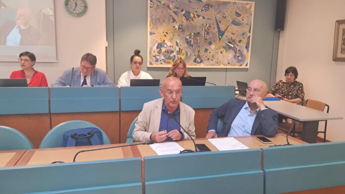 Assessore Fabi in commissione sanità