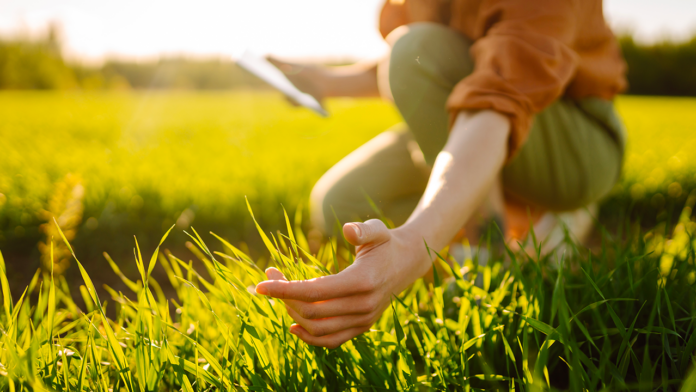 Servizio civile agricolo