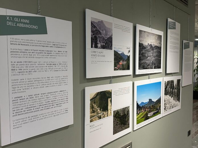 7f5e77e8-2efa-4dbf-816c-e885bec42